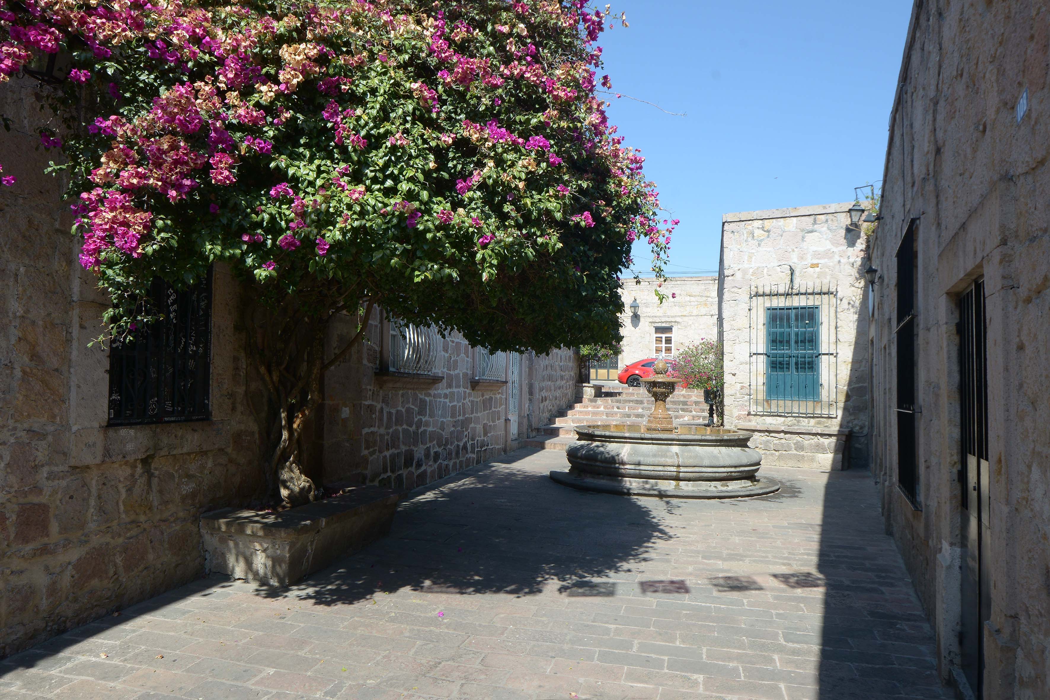Morelia